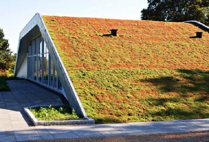 green roofed house